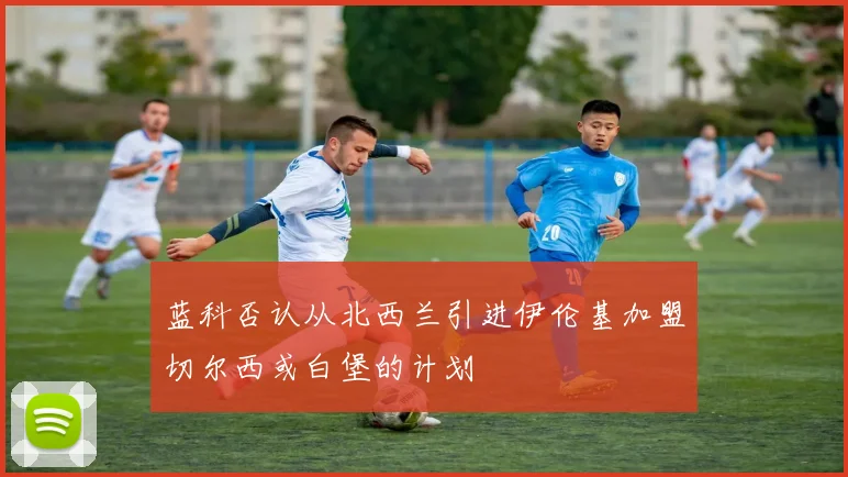 蓝科否认从北西兰引进伊伦基加盟切尔西或白堡的计划