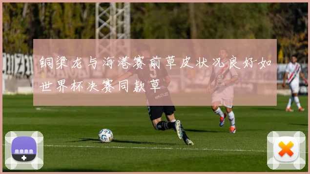 铜梁龙与海港赛前草皮状况良好如世界杯决赛同款草